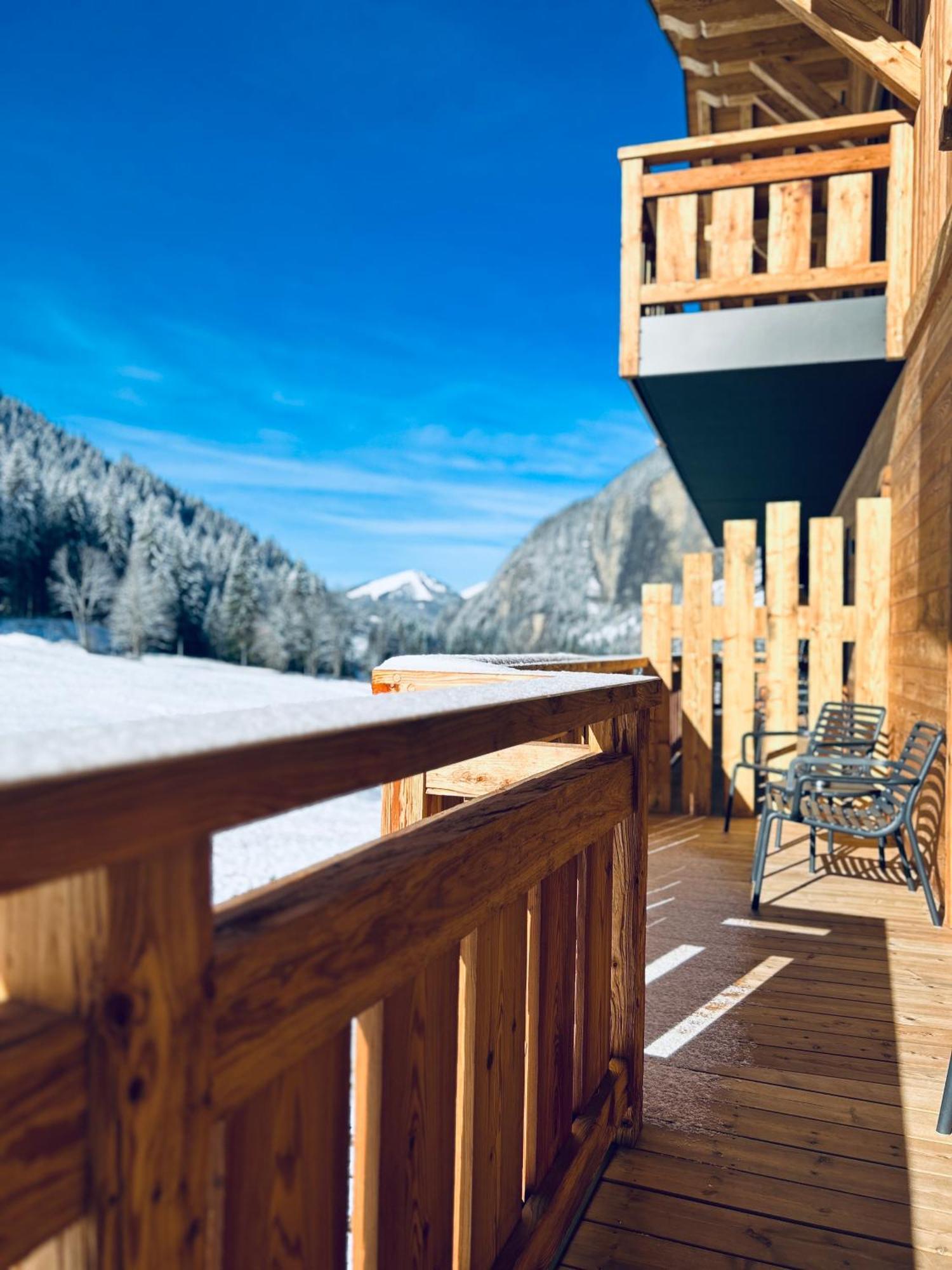 Hameau Des Prodains - Residence 莫尔济讷 外观 照片